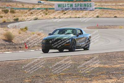 media/Oct-25-2025-West Coast Racing (Sat) [[9fdcbcd09c]]/Yellow group/Turn 4/